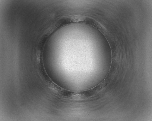 X0000068810315200605191814