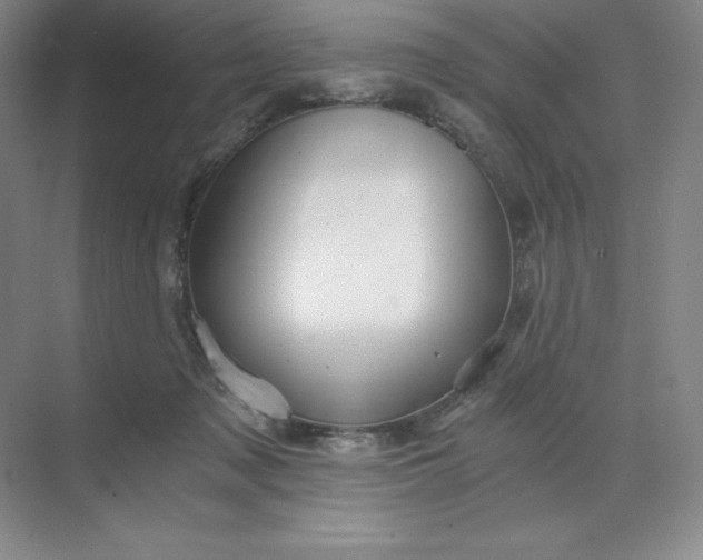 X0000068810317200605191814