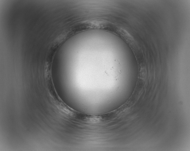 X0000068810318200605191814