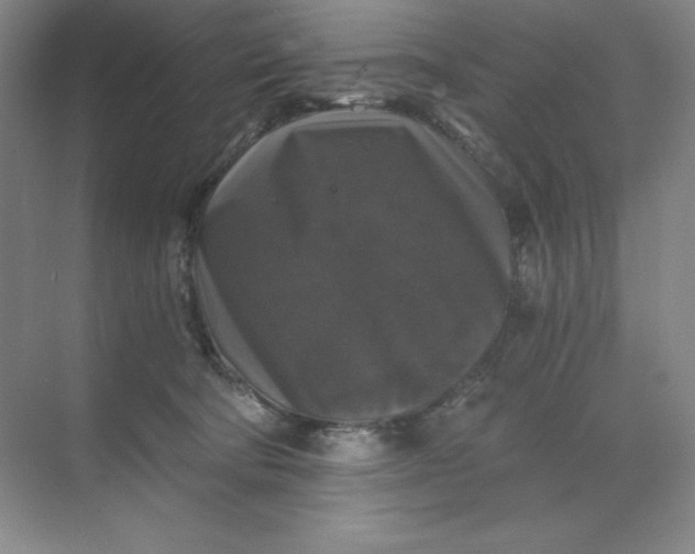 X0000068810322200605191814