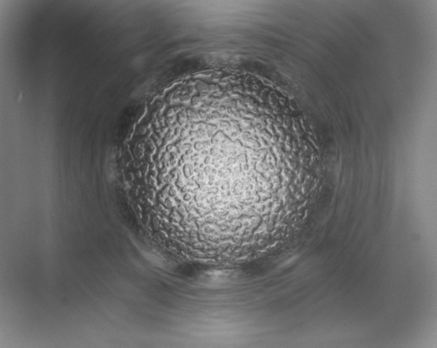 X0000068810323200605191814