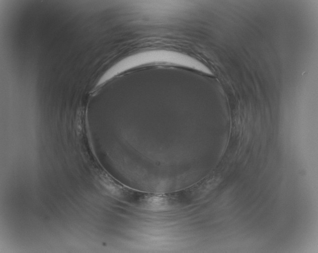 X0000068810325200605191814