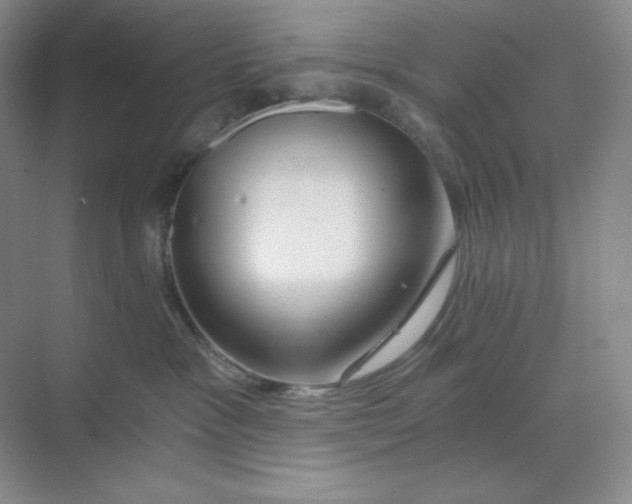 X0000068810333200605191813