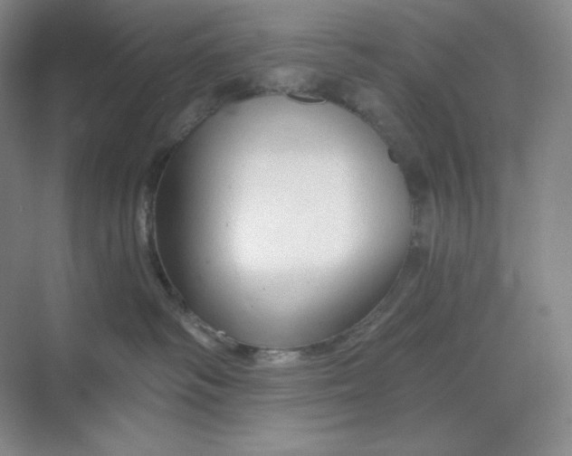 X0000068810334200605191813