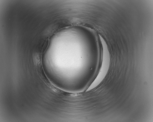 X0000068810335200605191813