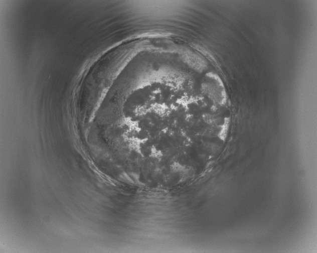 X0000068810337200605191813