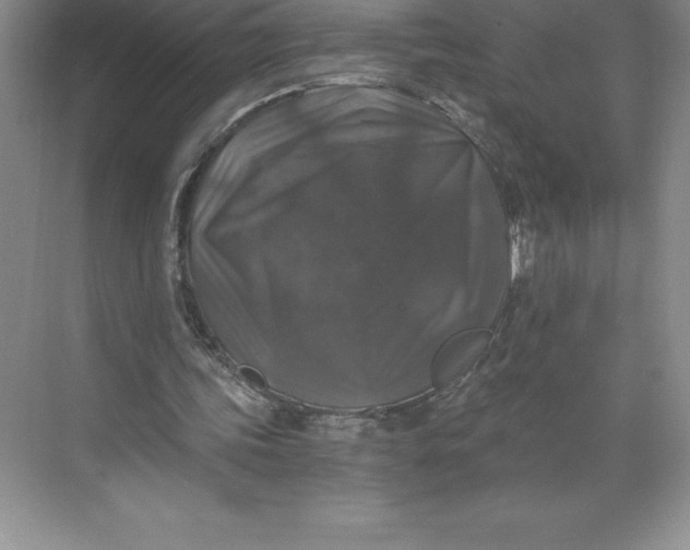 X0000068810339200605191813
