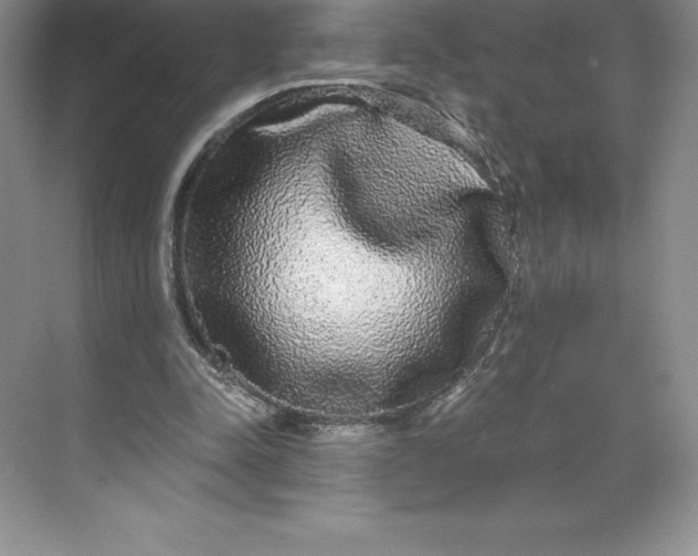 X0000068810342200605191813