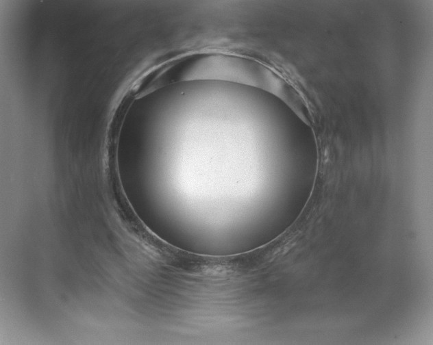 X0000068810344200605191813