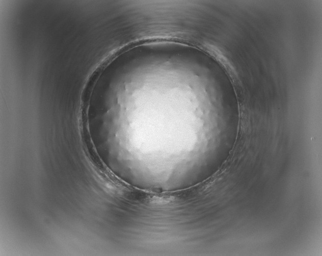X0000068810346200605191813
