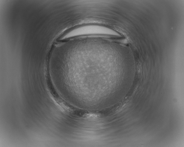 X0000068810352200605191813
