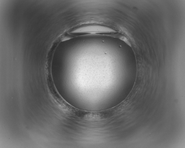 X0000068810354200605191813