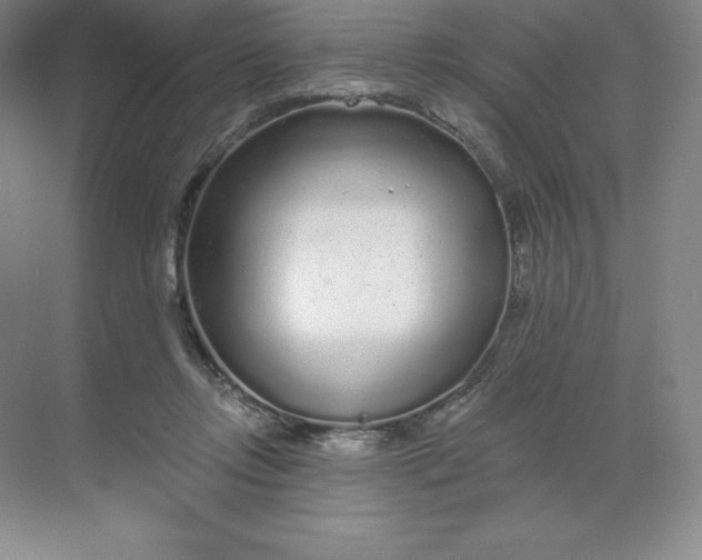 X0000068810358200605191813