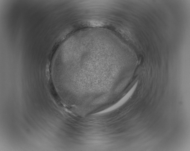 X0000068810360200605191813