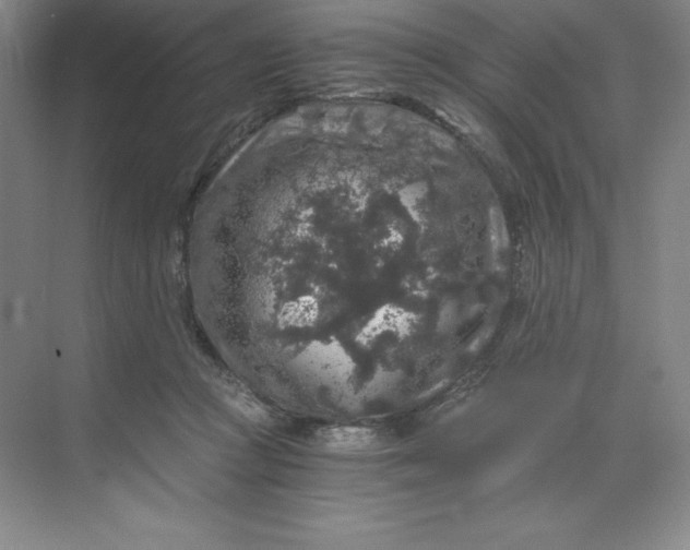 X0000068810361200605191813