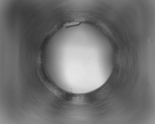X0000068810362200605191813