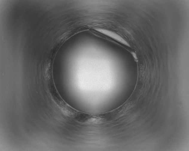 X0000068810364200605191813