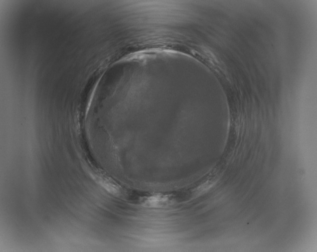 X0000068810366200605191813