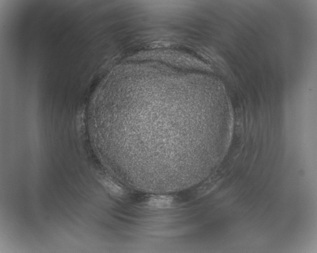 X0000068810369200605191813