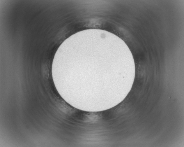 X0000068810370200605191813