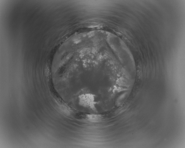 X0000068810371200605191813