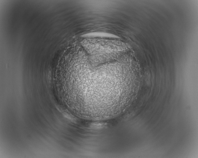 X0000068810375200605191813
