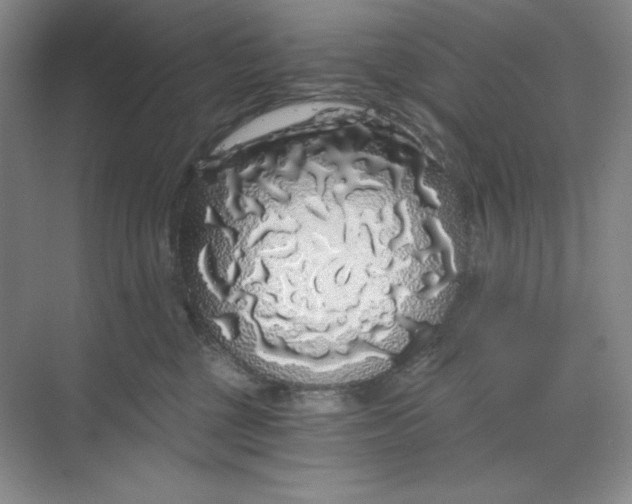 X0000068810377200605191813