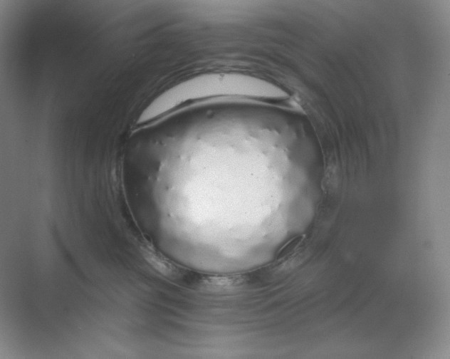 X0000068810381200605191813
