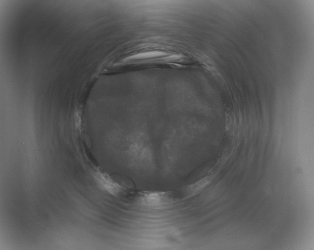 X0000068810382200605191813