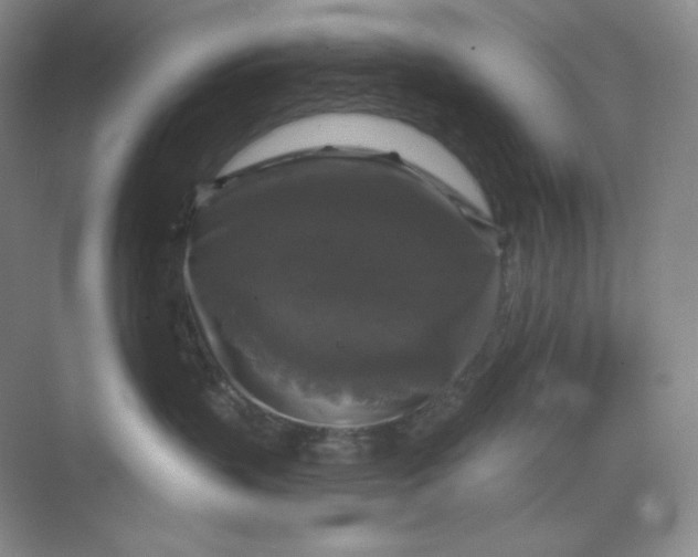 X0000068810383200605191813