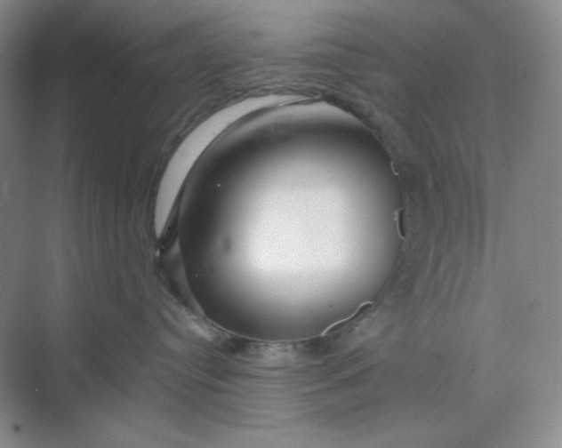 X0000068810384200605191813