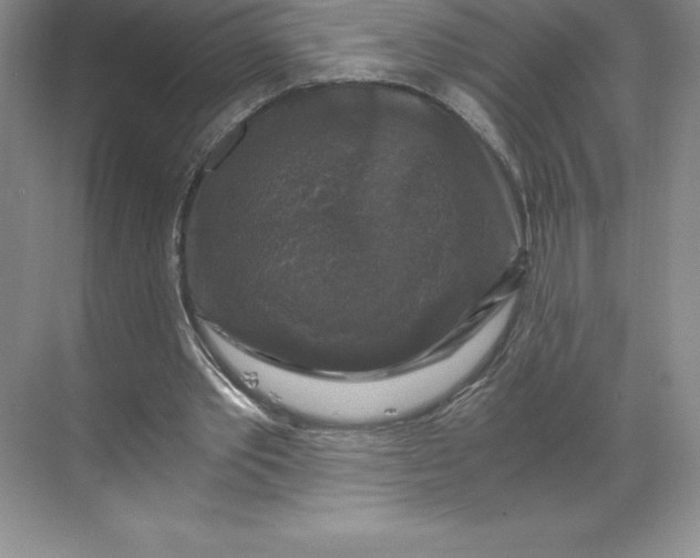 X0000068810389200605191812