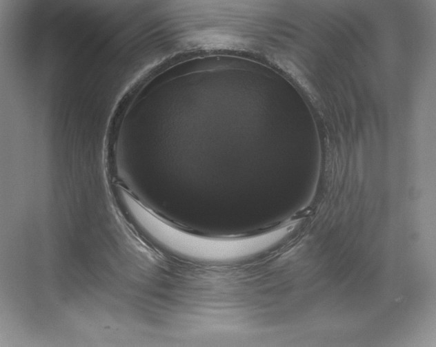 X0000068810391200605191812