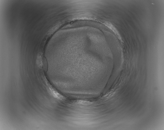 X0000068810393200605191812