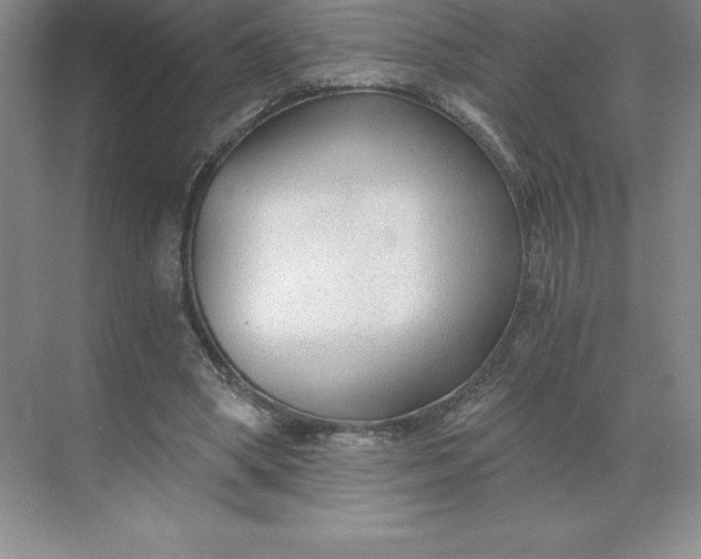 X0000068810394200605191812