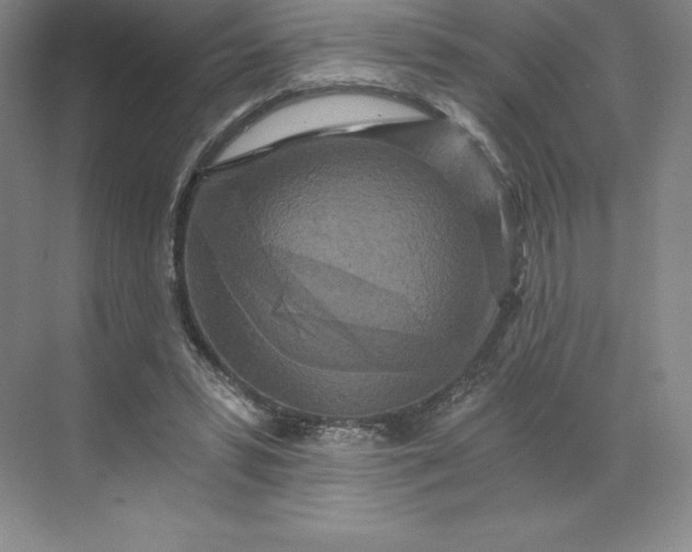 X0000068810399200605191812