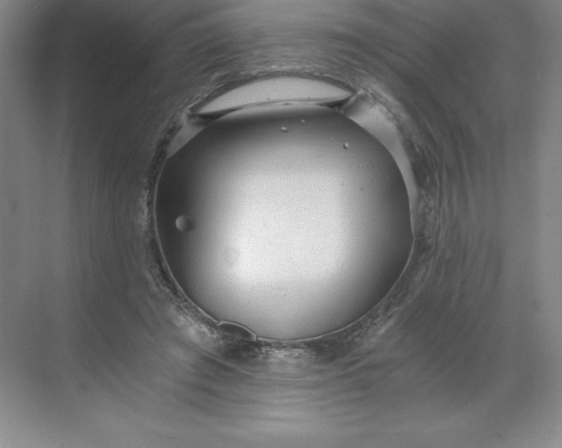 X0000068810401200605191812