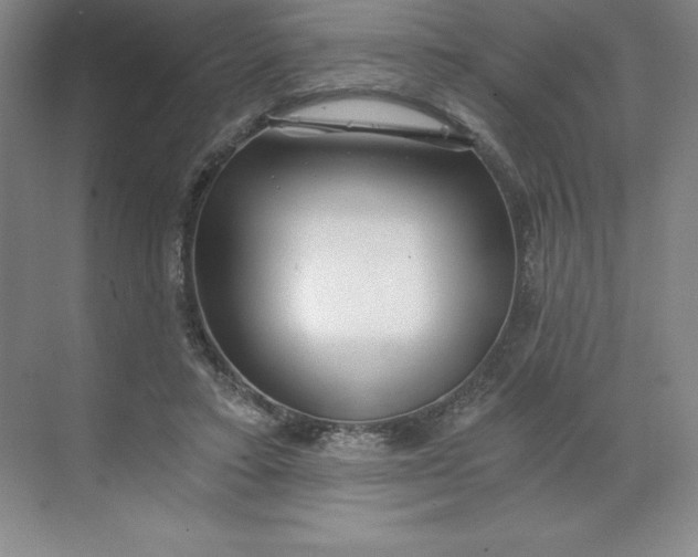 X0000068810403200605191812