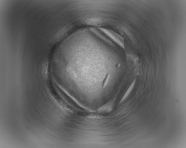 X0000068810404200605191812