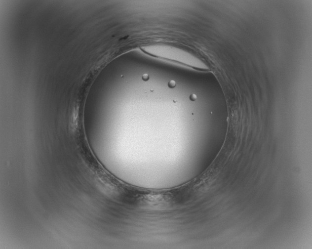 X0000068810406200605191812