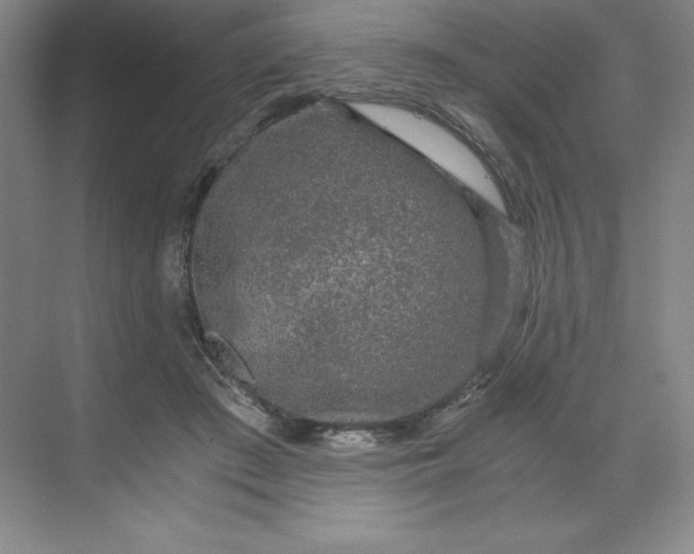 X0000068810409200605191812