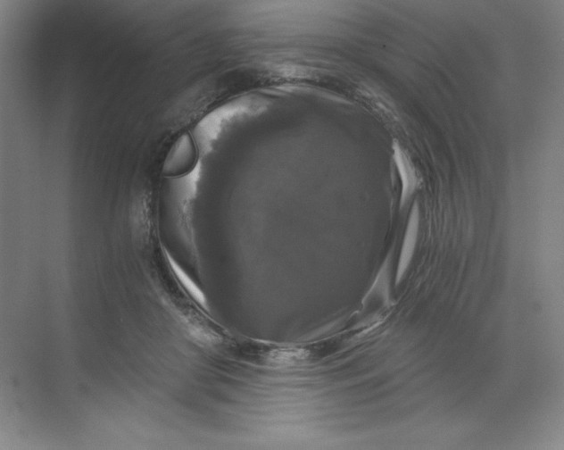 X0000068810410200605191812