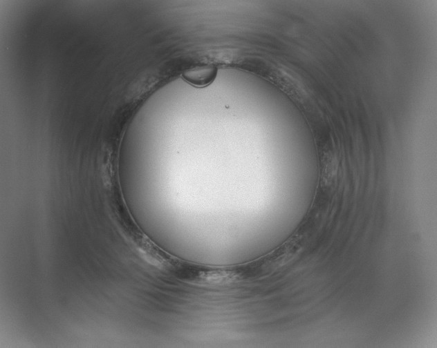 X0000068810414200605191812