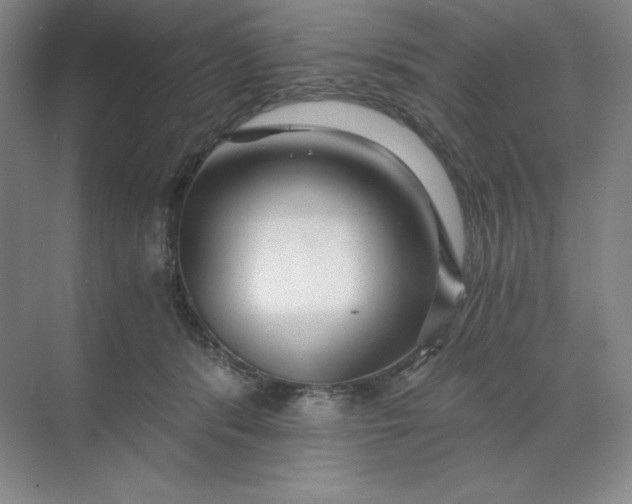 X0000068810416200605191812