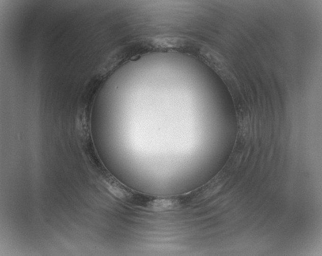 X0000068810418200605191812