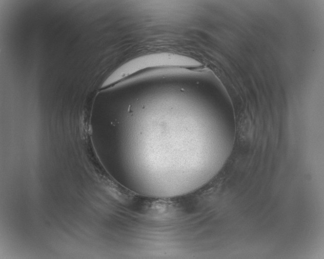 X0000068810420200605191812