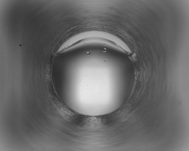 X0000068810421200605191812