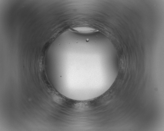 X0000068810422200605191812