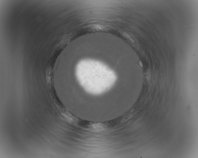 X0000068810423200605191812