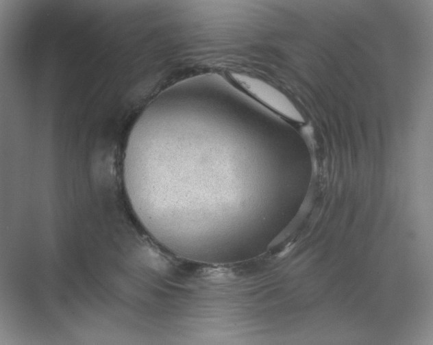 X0000068810424200605191812